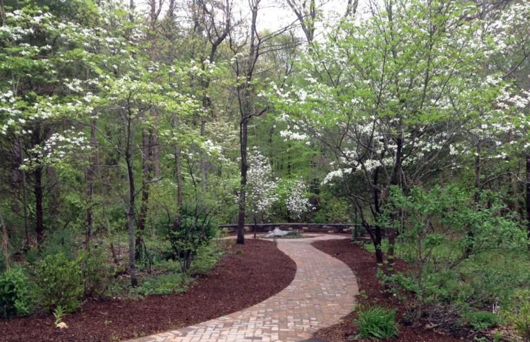 Meditation Garden