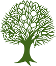 Medford Leas Logo -- 4 seasons tree