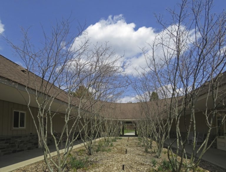 Serviceberry
