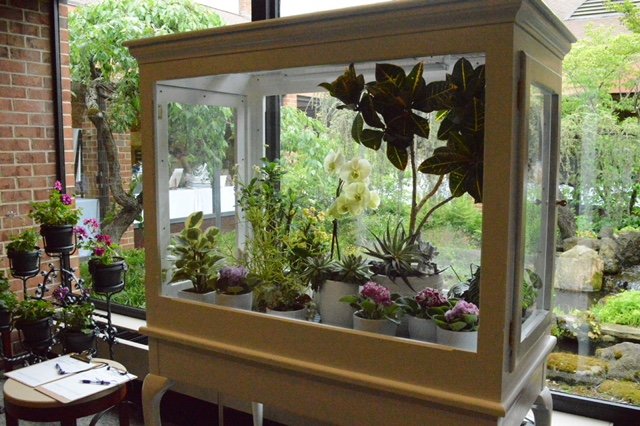Terrarium