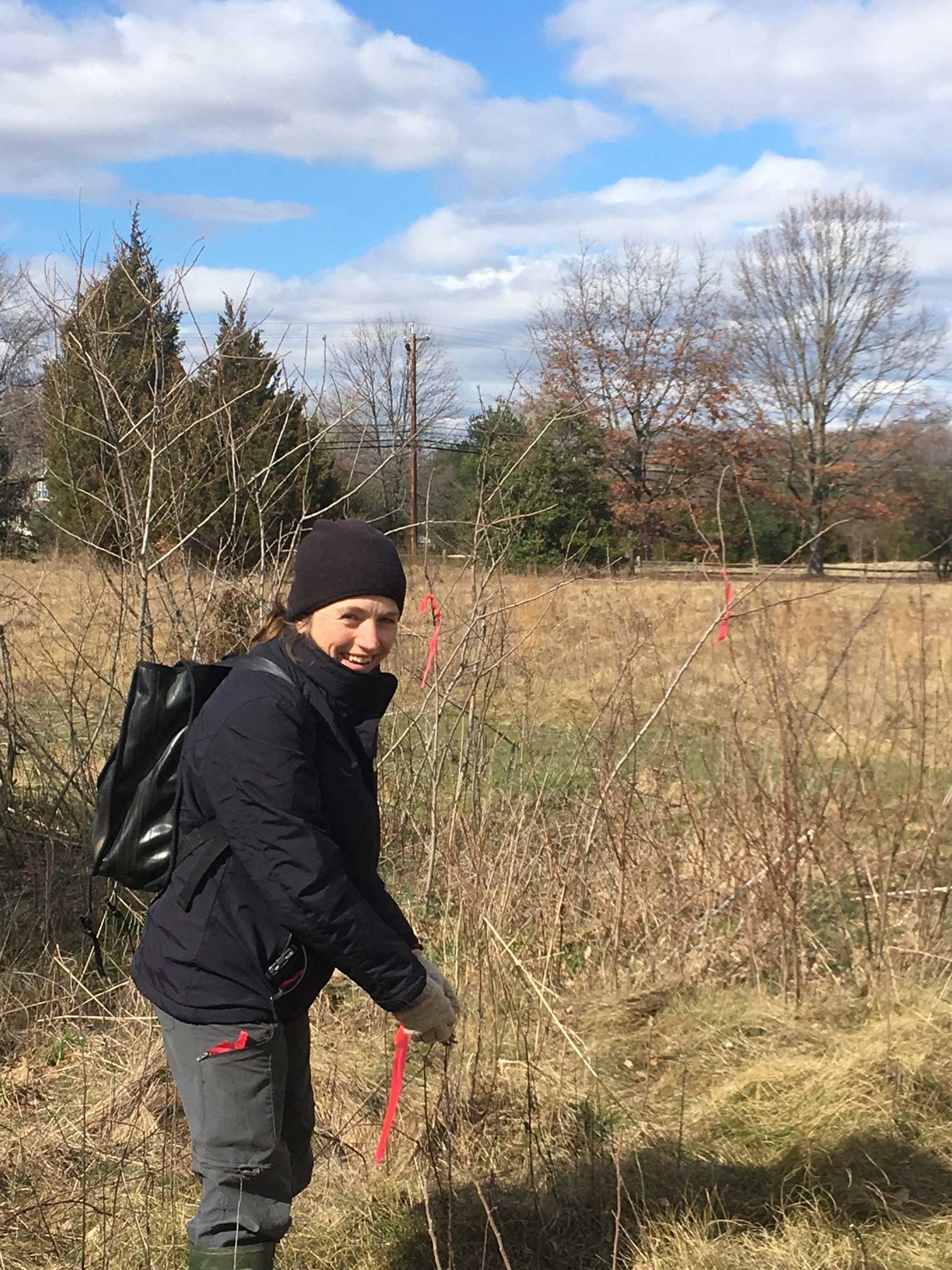 March 11, 2018 – Meadow