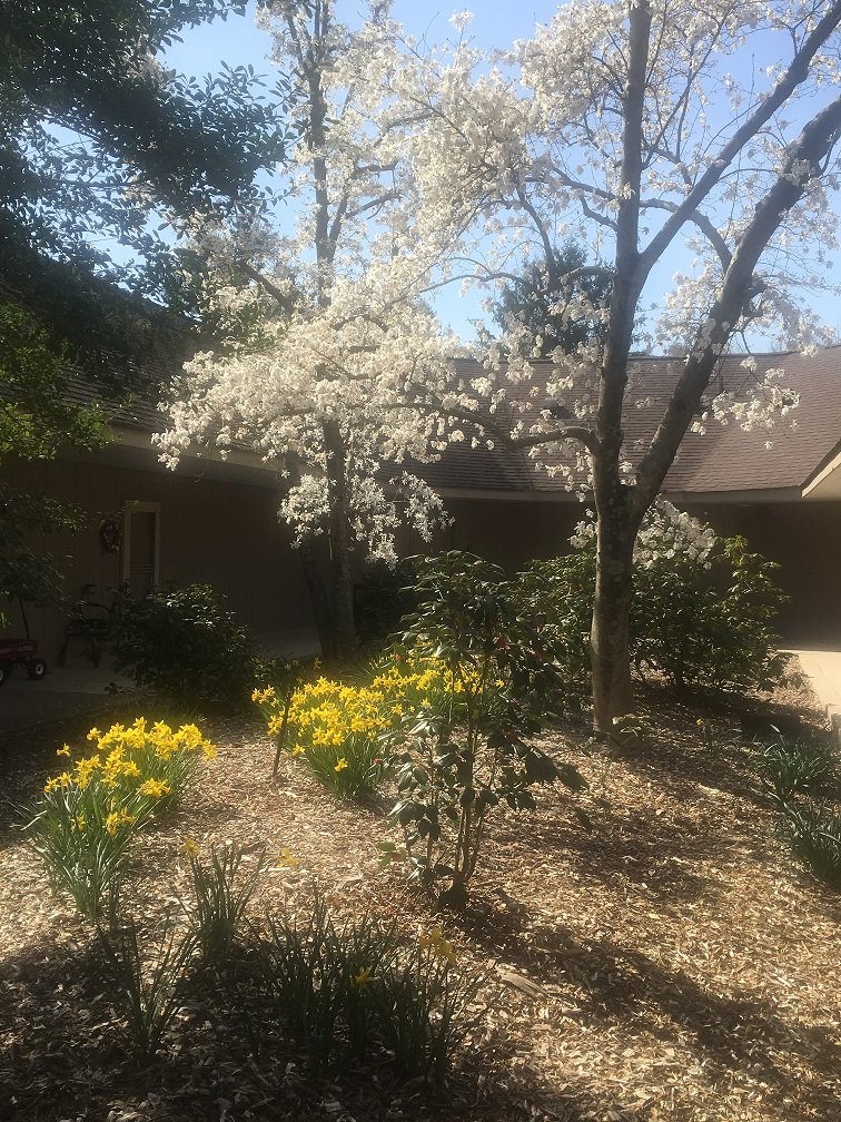 April 22, 2018 – Improvements to Court 17