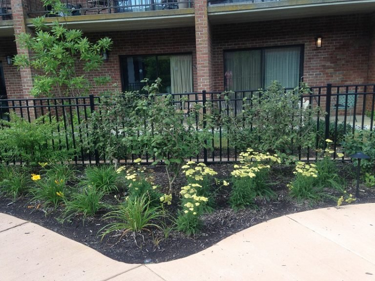 Garden near Woolman
