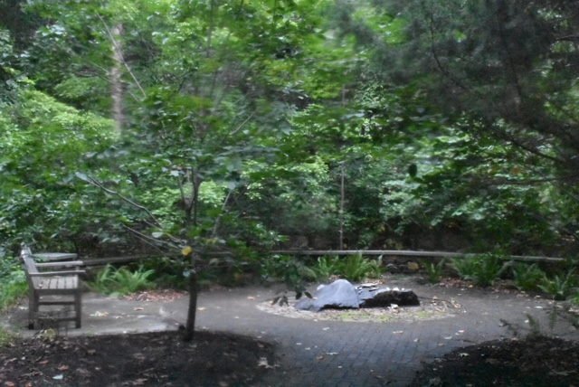 September 21, 2018 – Meditation Garden