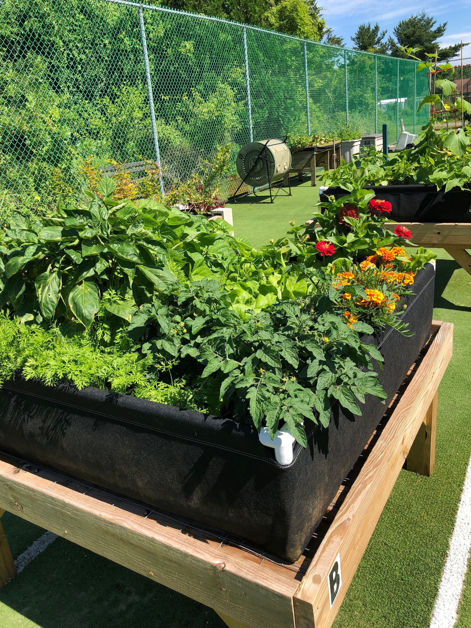 June 28, 2019 – Raised Gardens