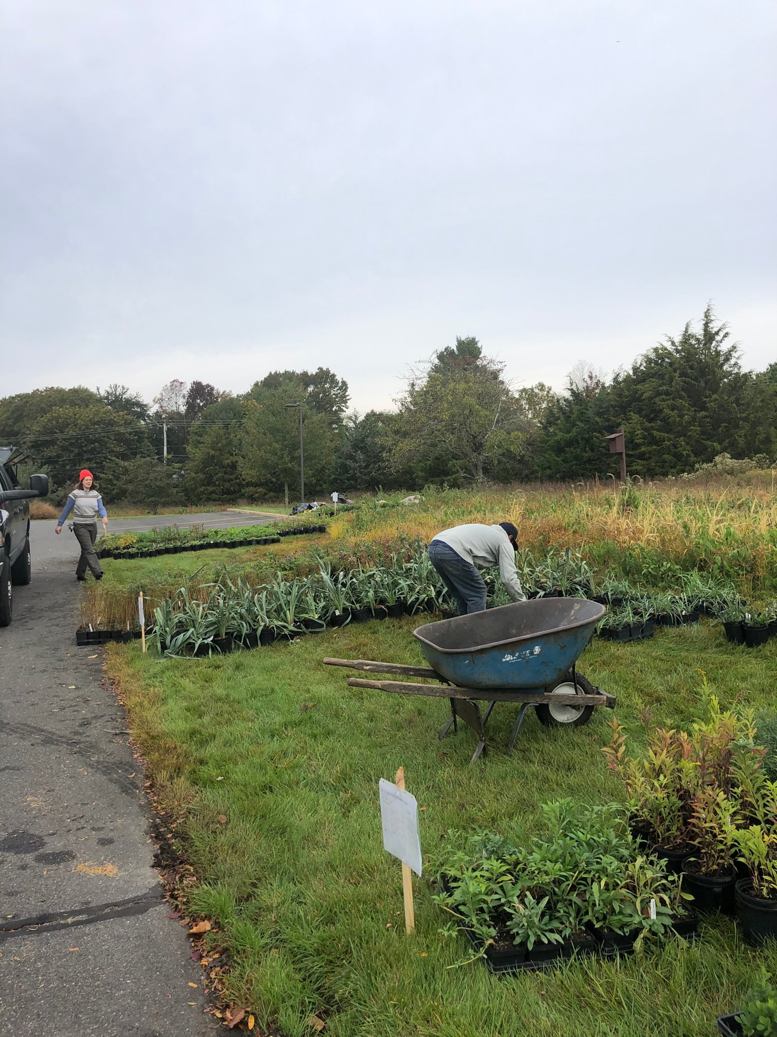 October 18, 2019 – Meadow planting