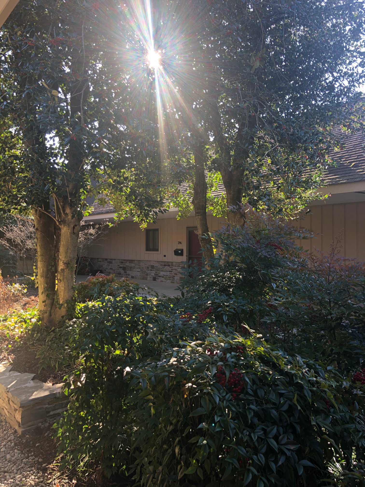 Courtyard gardens