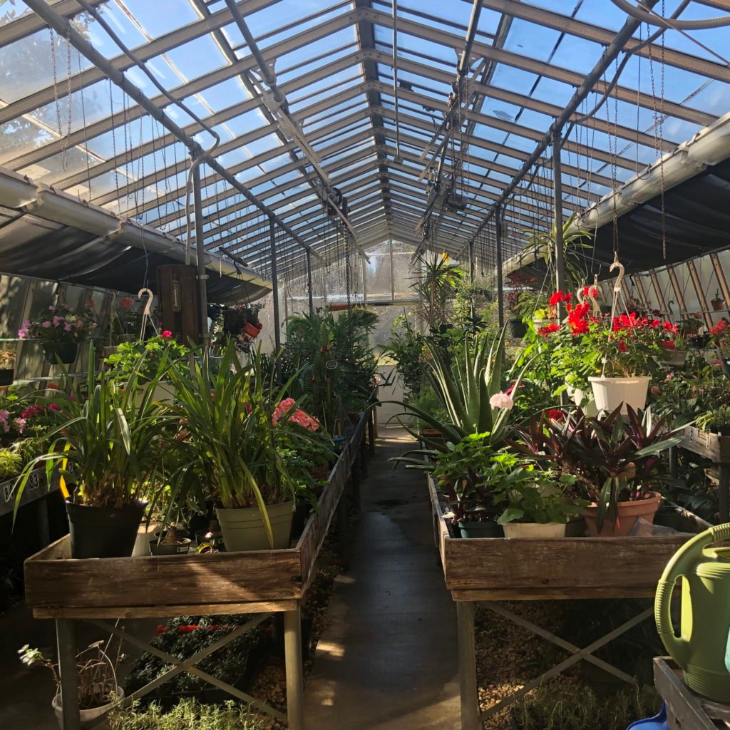 Haddon Greenhouse