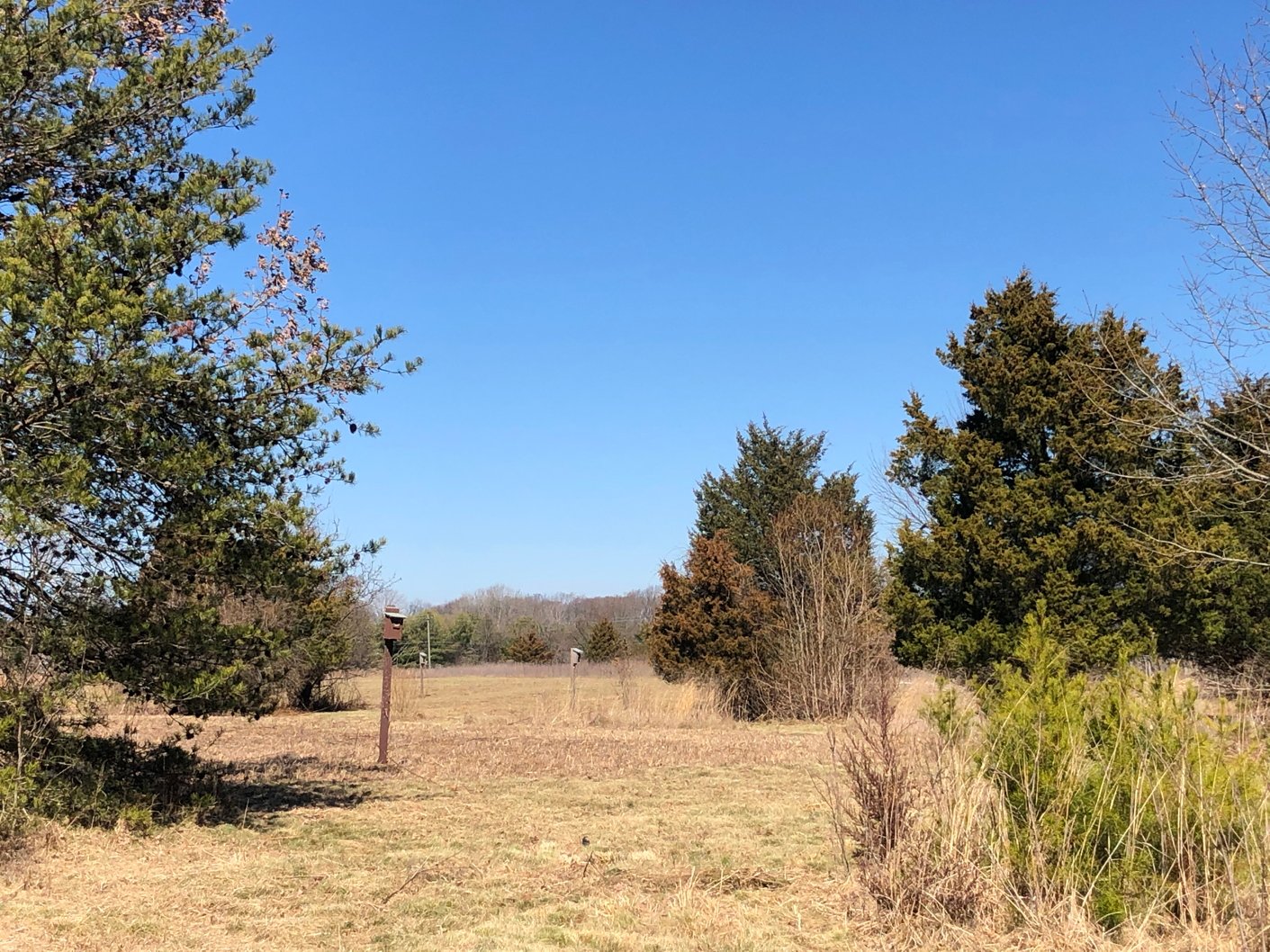 March 13, 2020 – Meadow mowing