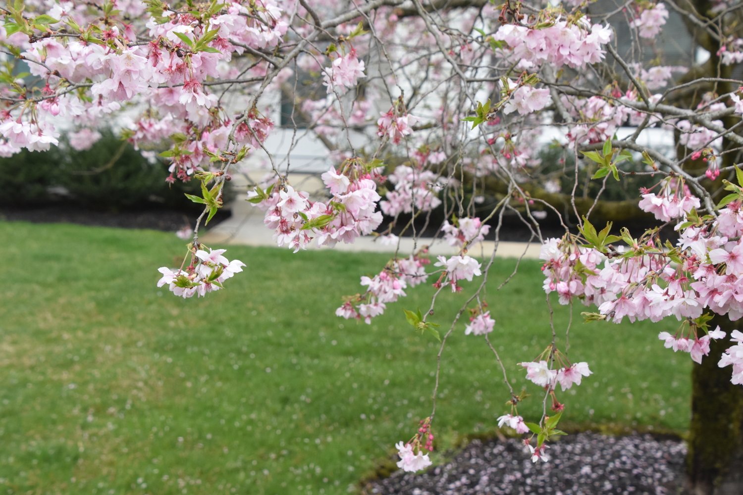 April 3, 2020 – Scavenger Hunt