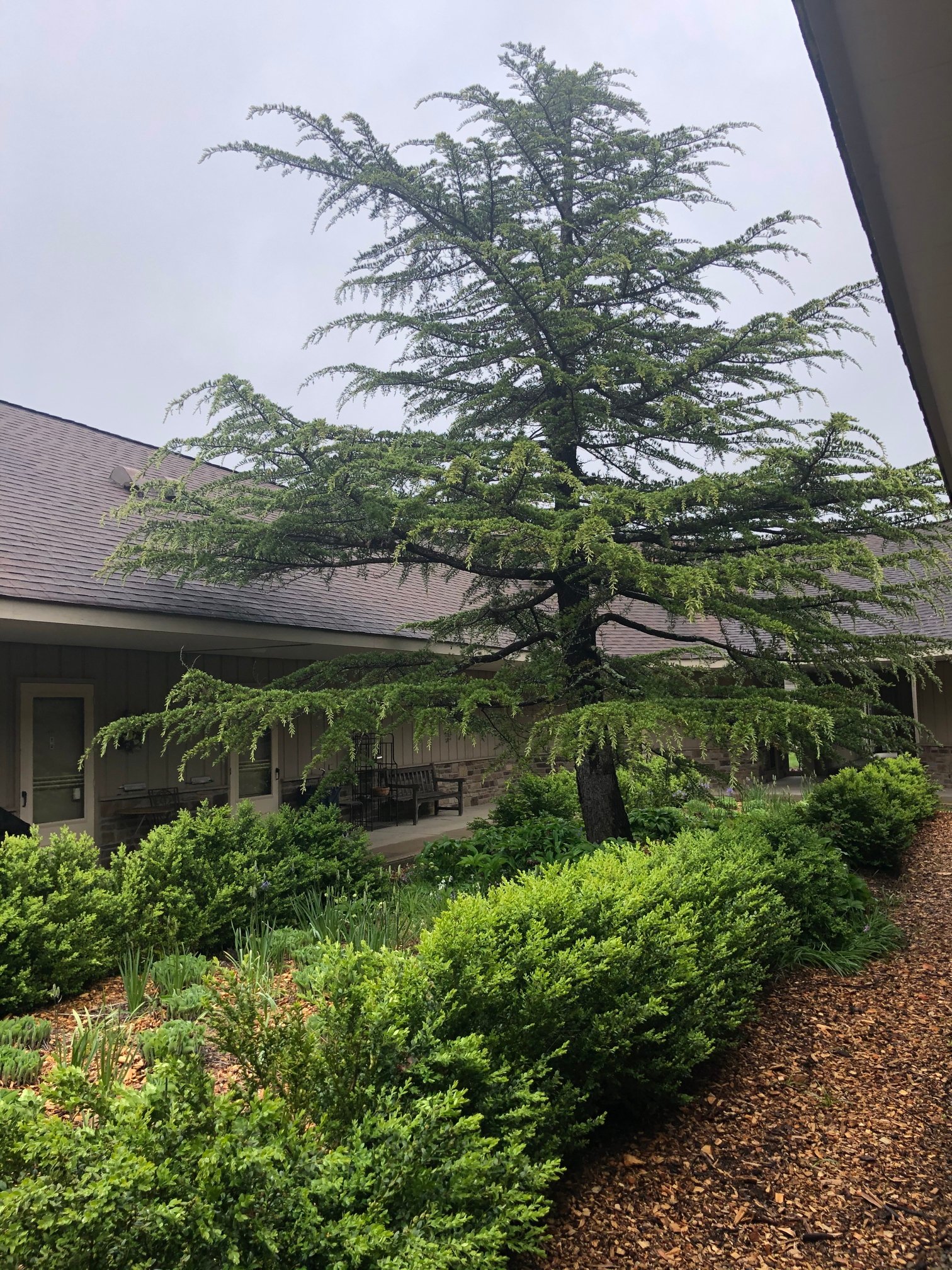 May 1, 2020 – Out and About, Exploring