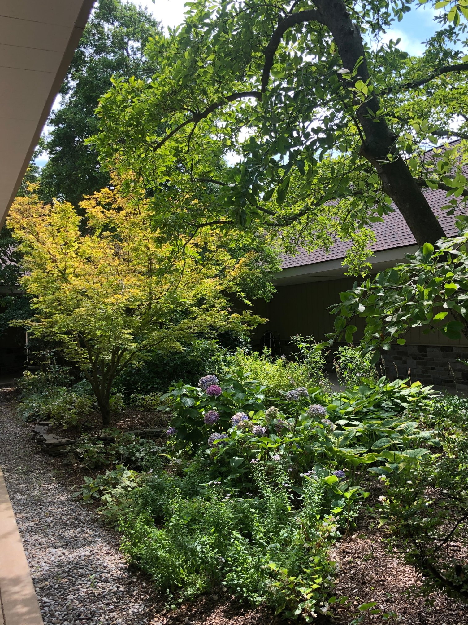 July 24, 2020 – Court 16
