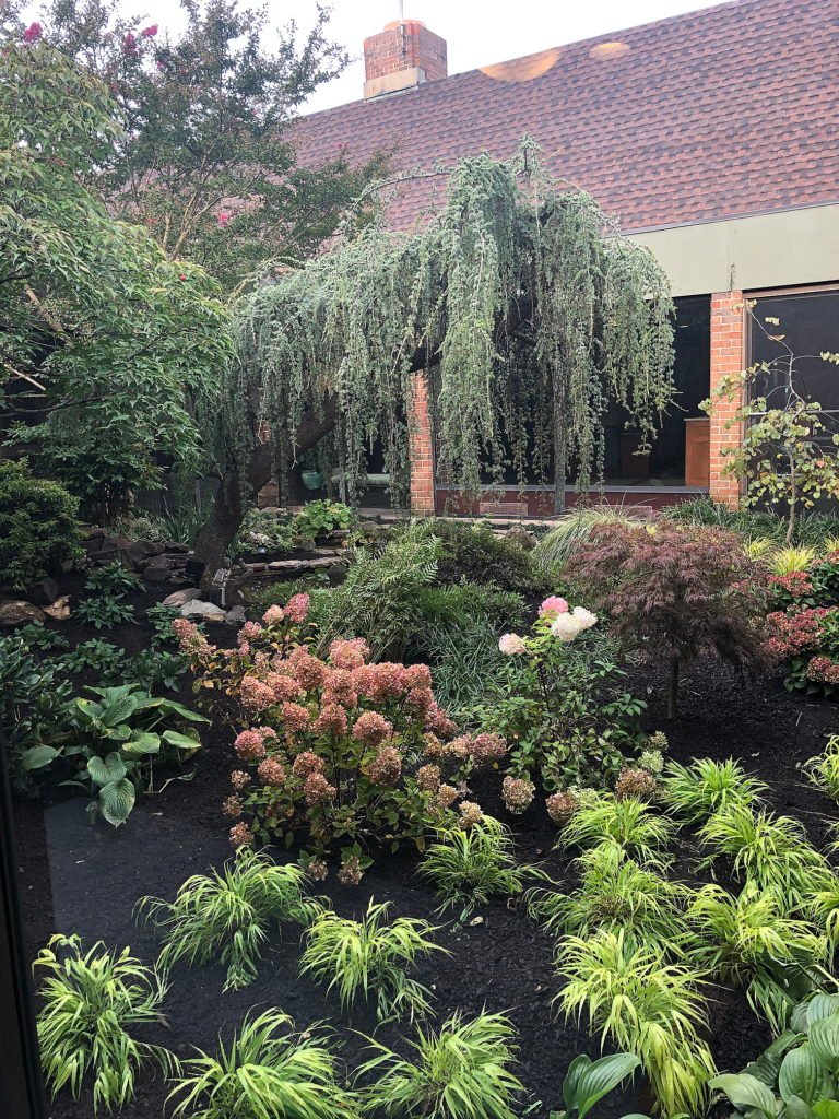 Atrium Garden