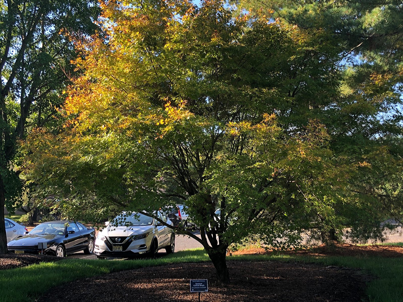 October 9, 2020 – First Colors