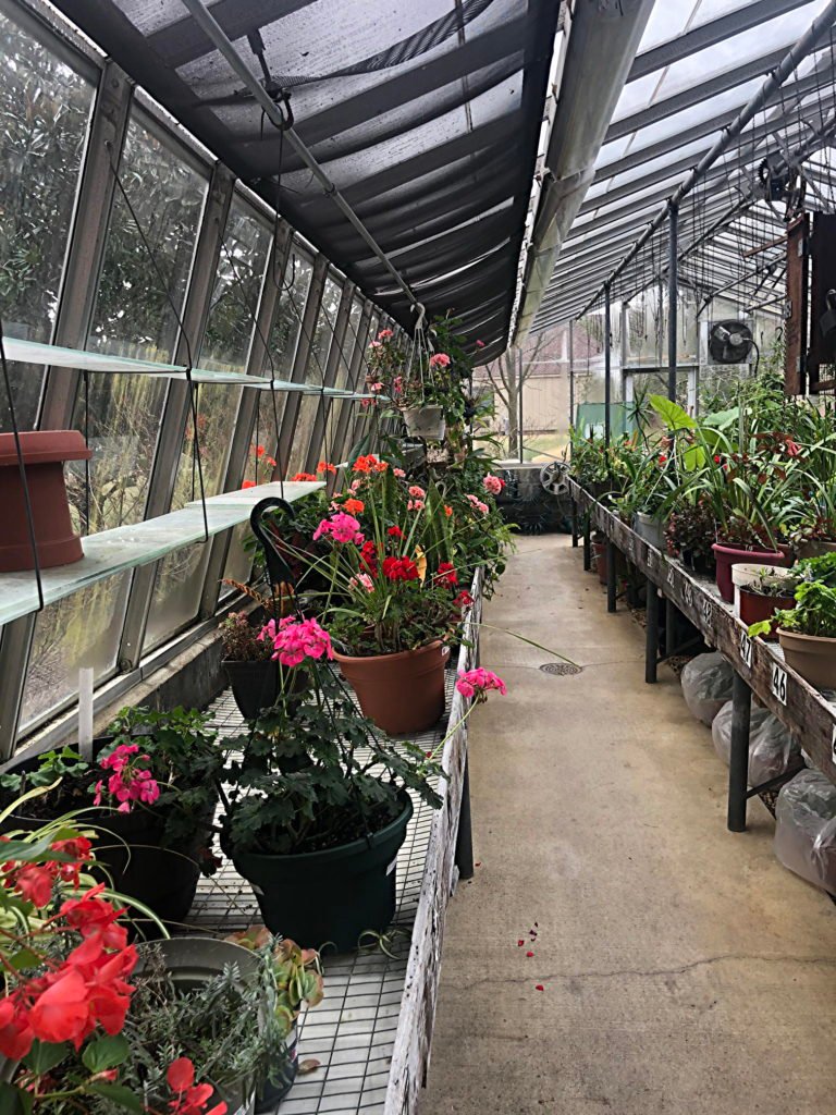 Haddon Greenhouse