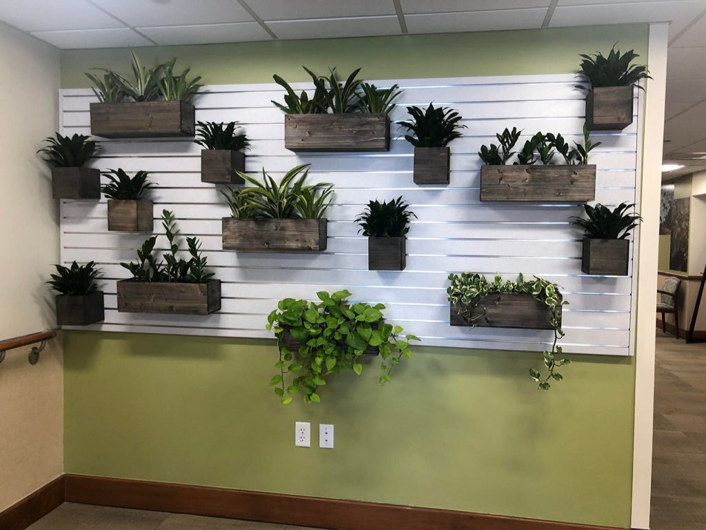 plant wall display
