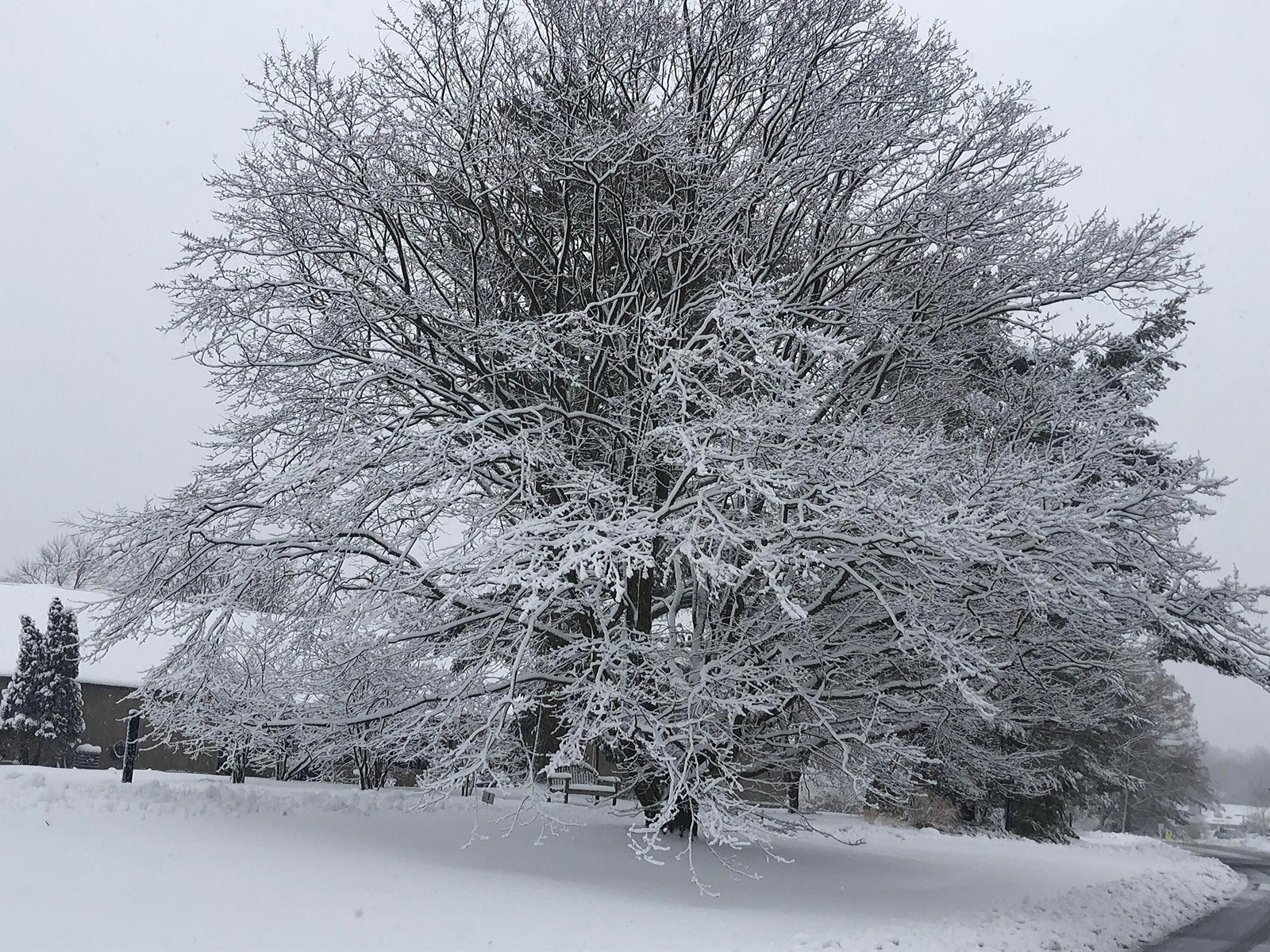 February 26, 2021 – Winter