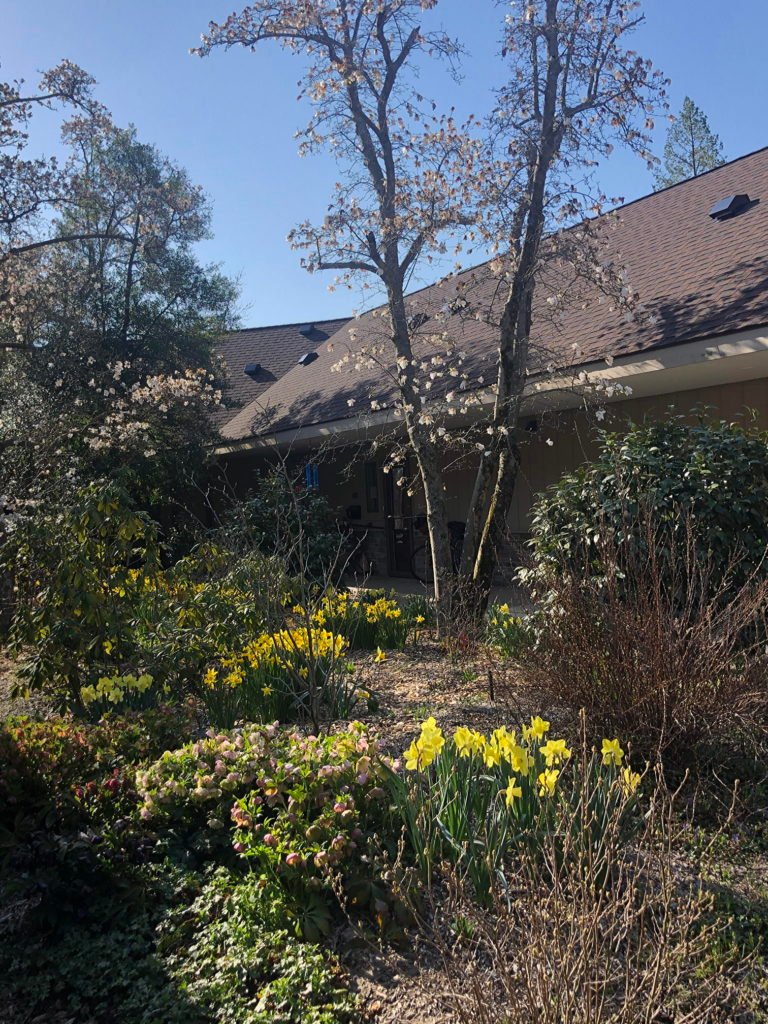 Court 17 Spring