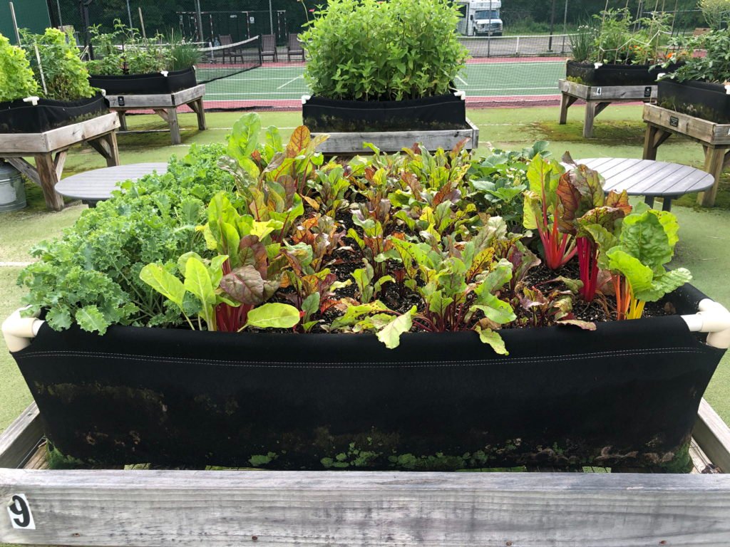 Farm 2021