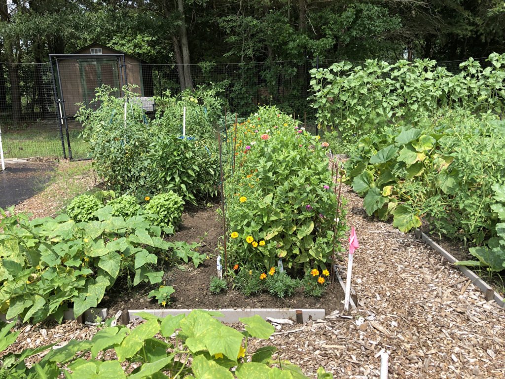 LumbertonCampusFarm