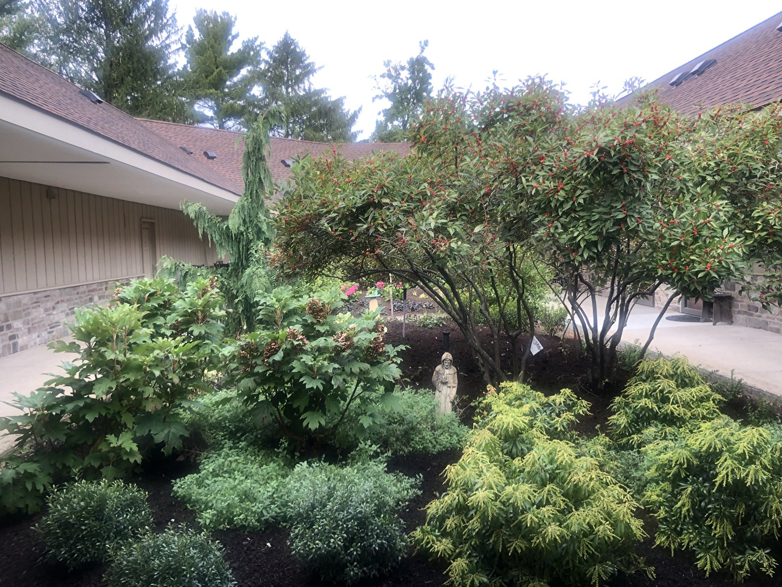 October 1, 2021 — Courtyard refreshment