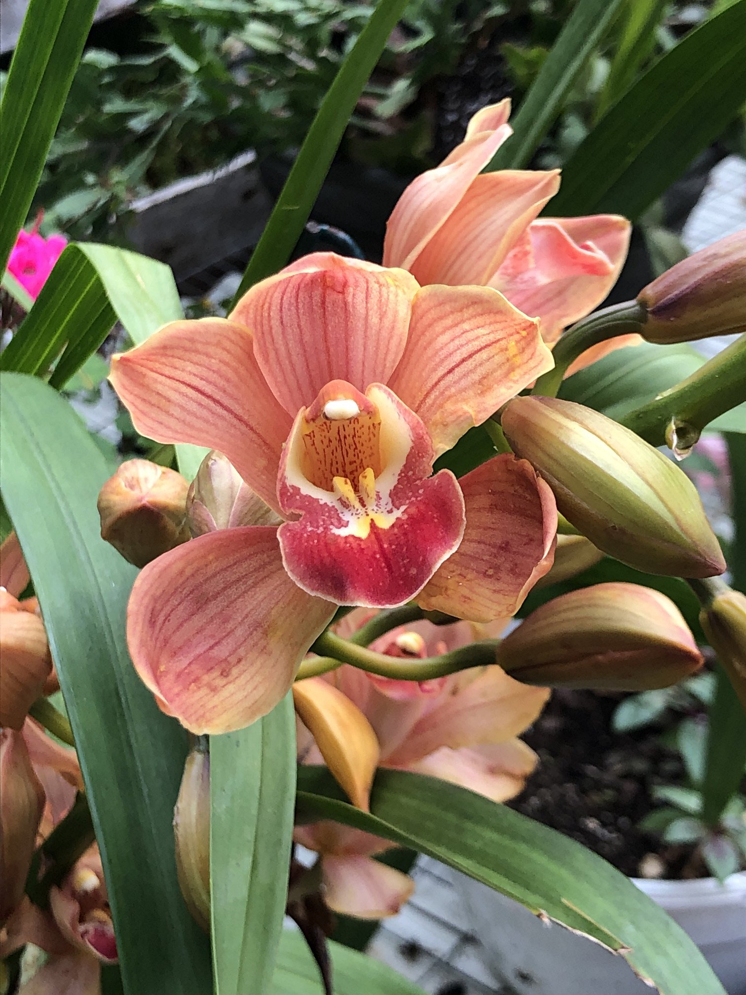January 7, 2022 – Haddon Greenhouse