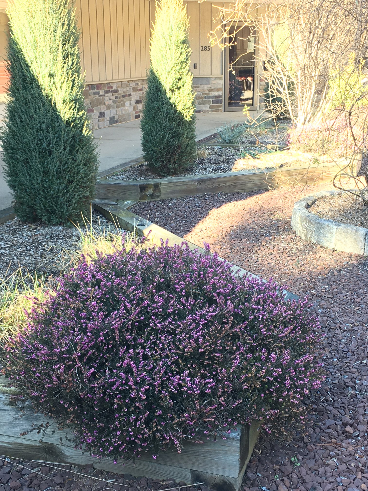 February 18, 2022 – Winter Heath