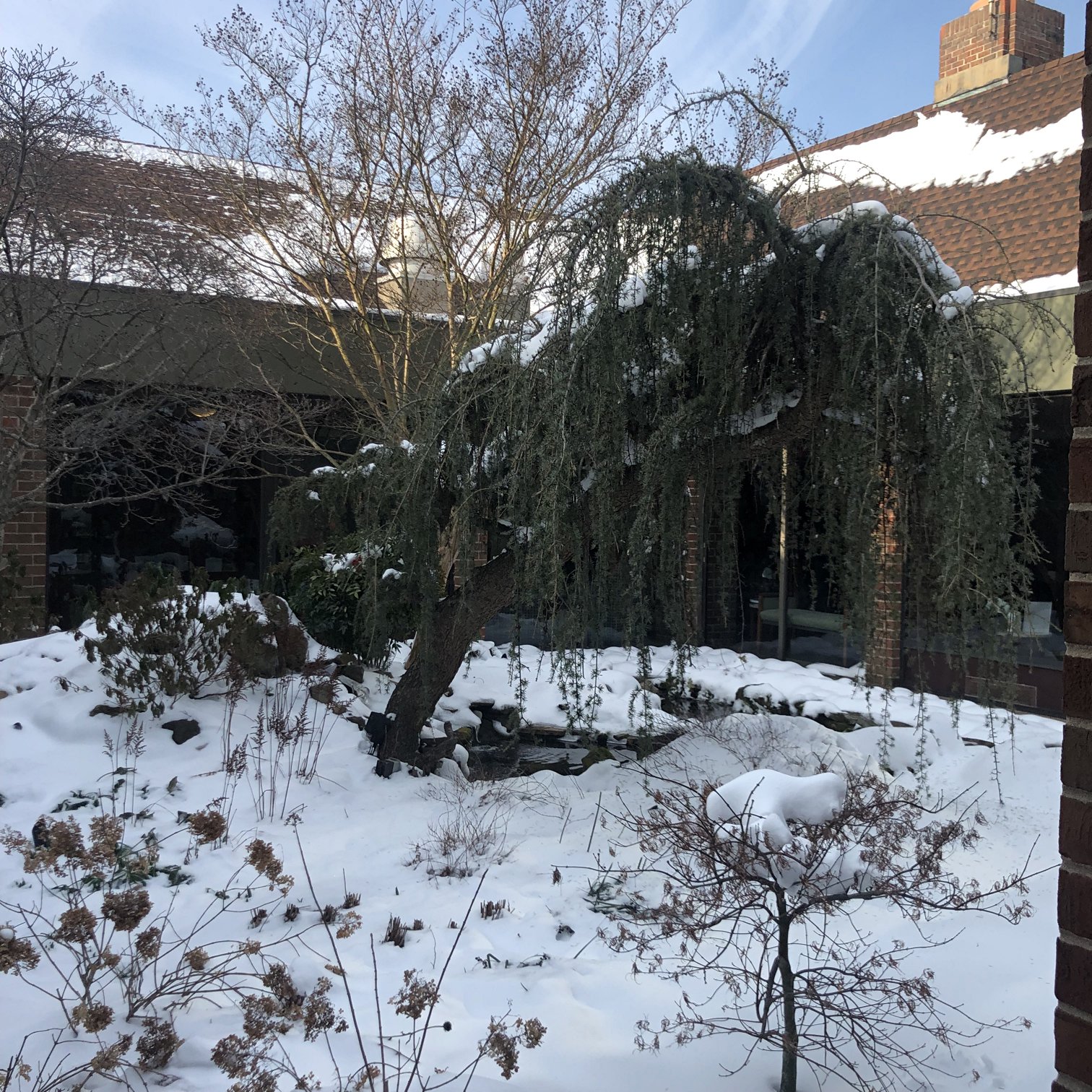 February 4, 2022 –  Snow