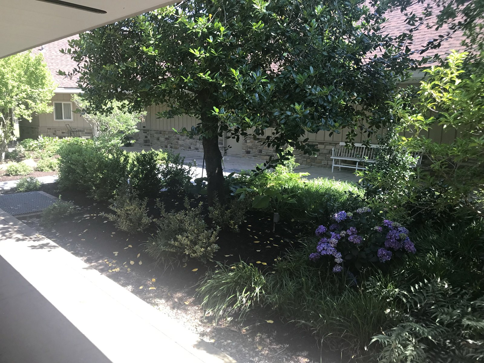 June 24, 2022 – Courtyard Garden 21