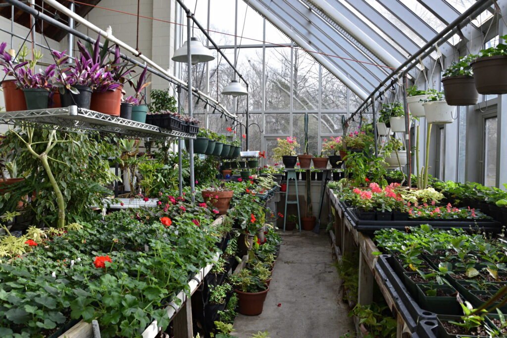 Forrest Greenhouse