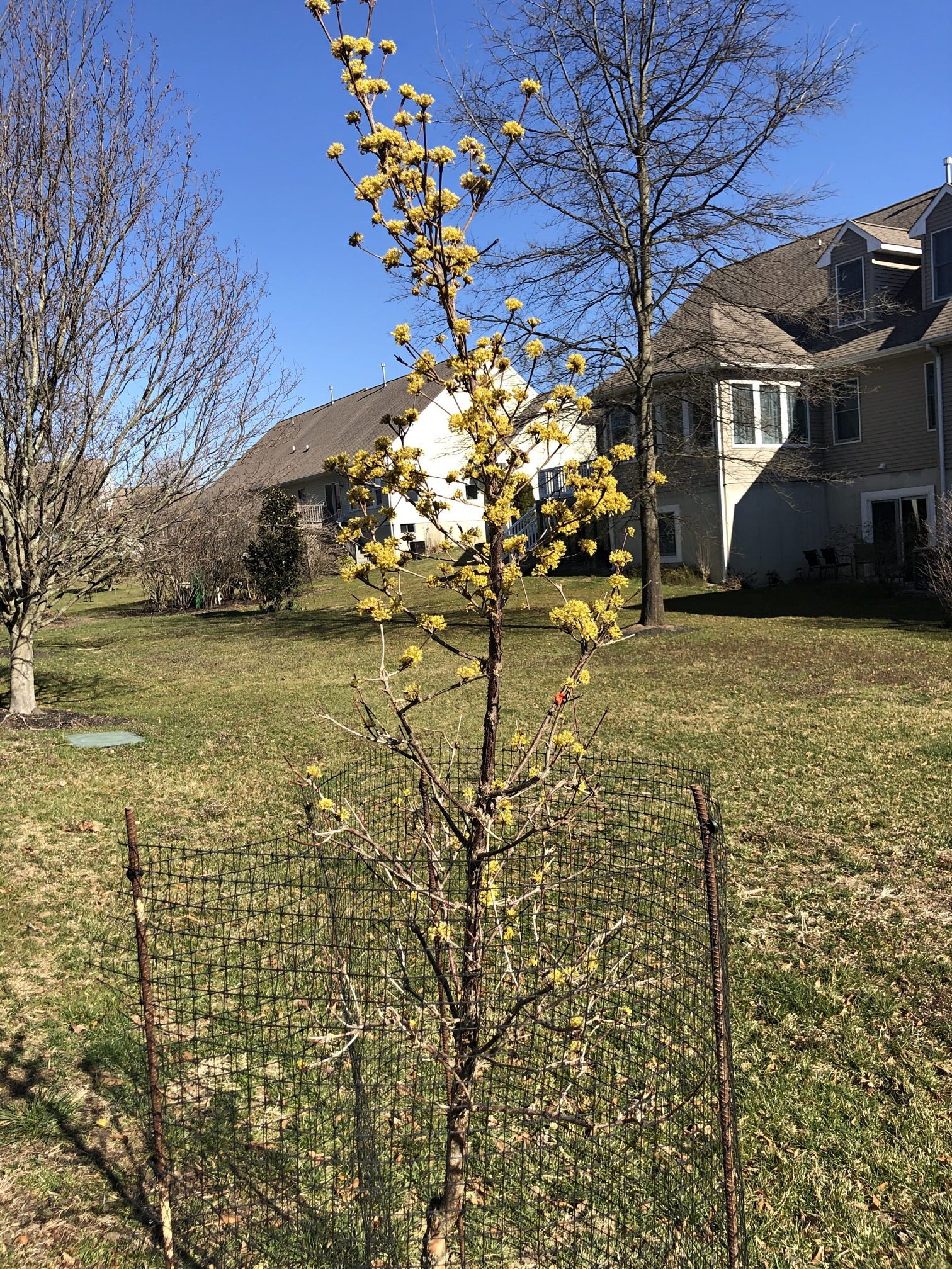 March  24, 2023 – Arboretum additions