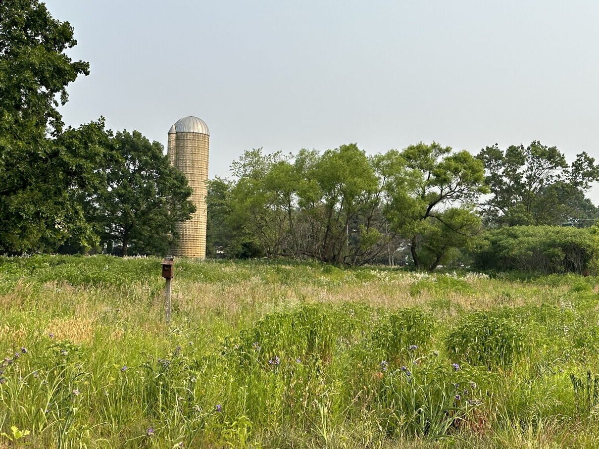 June 16, 2023 – Meadows
