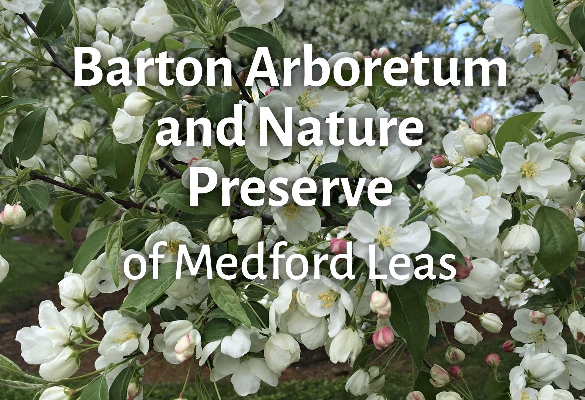 August 4, 2023 – Barton Arboretum