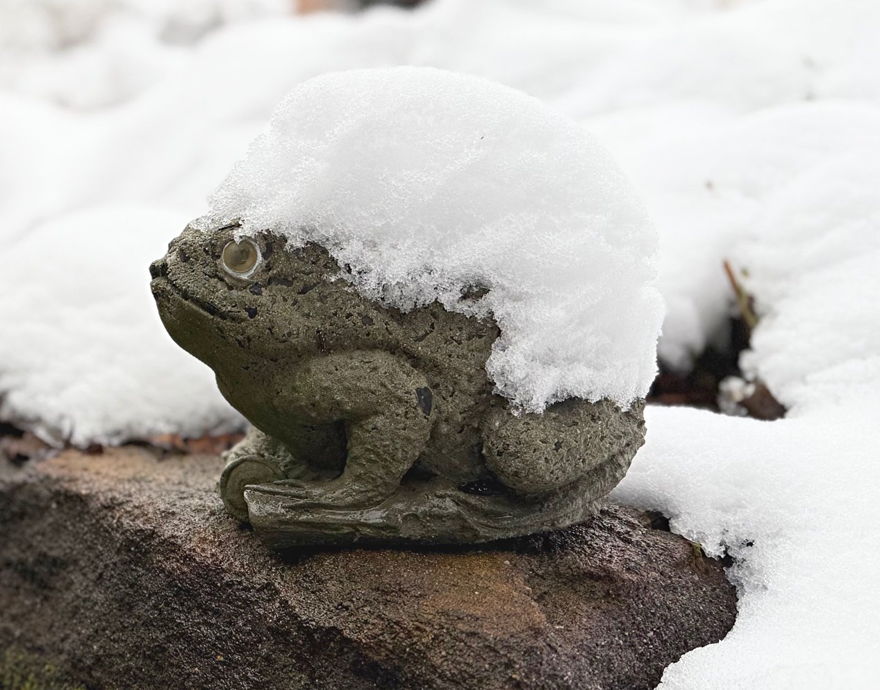 February 14, 2025 – Snow