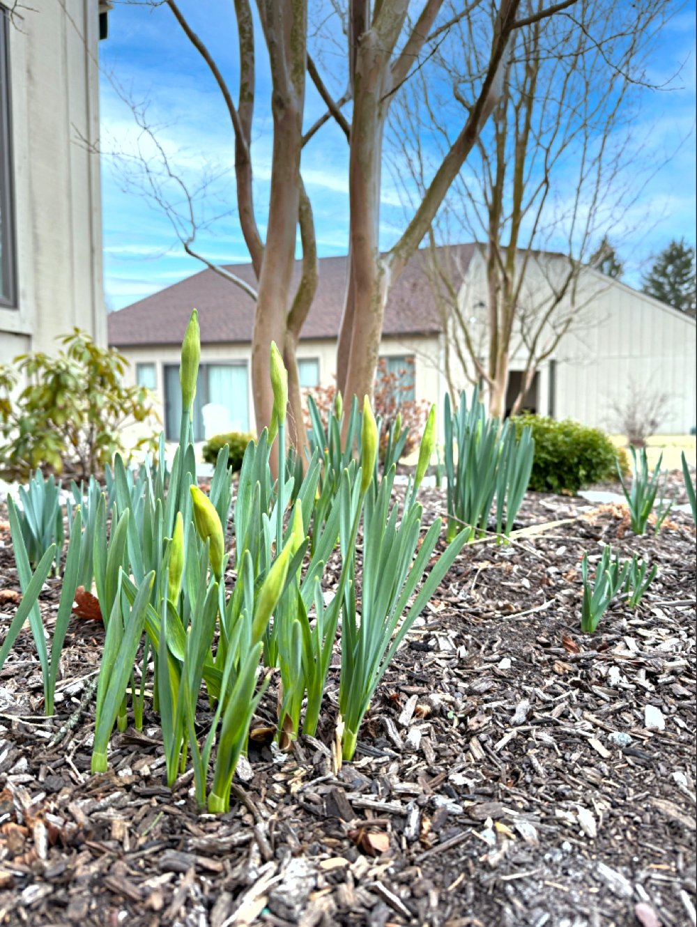 March 14, 2025 – Spring is coming