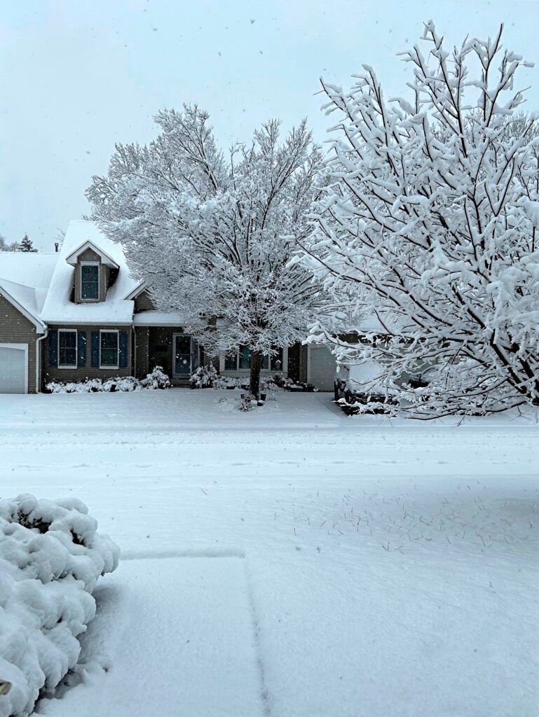 Winter Scene