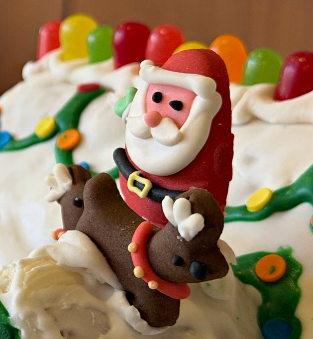 December 12, 2025 – Christmas Decorations