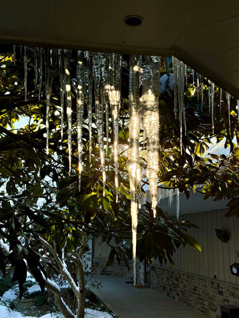 Winter Scenes