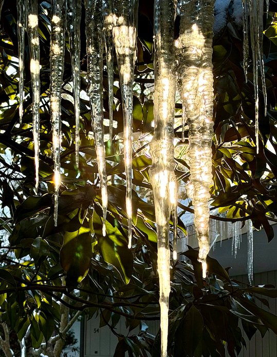 December 19, 2025 – Winter Scenes